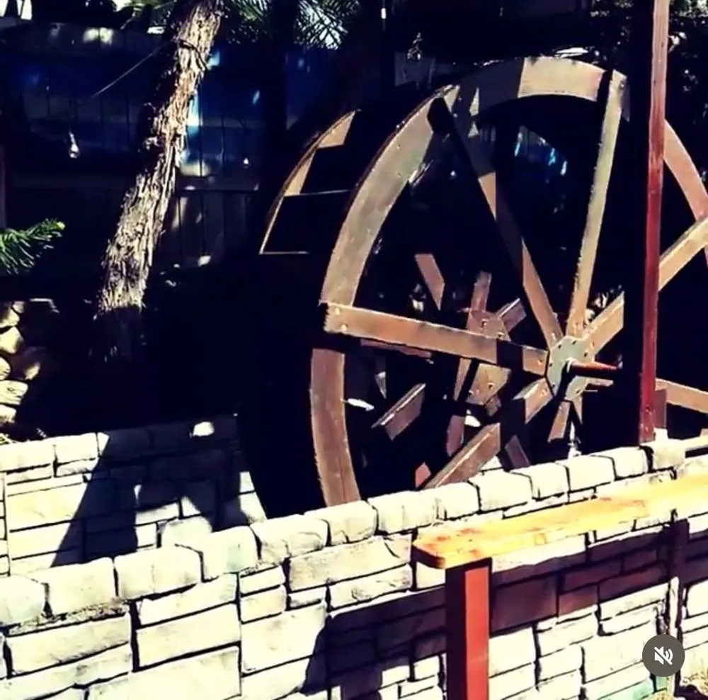 Reliable residential landscaping in La Mesa, CA by Early Bird Handyman & Lawn