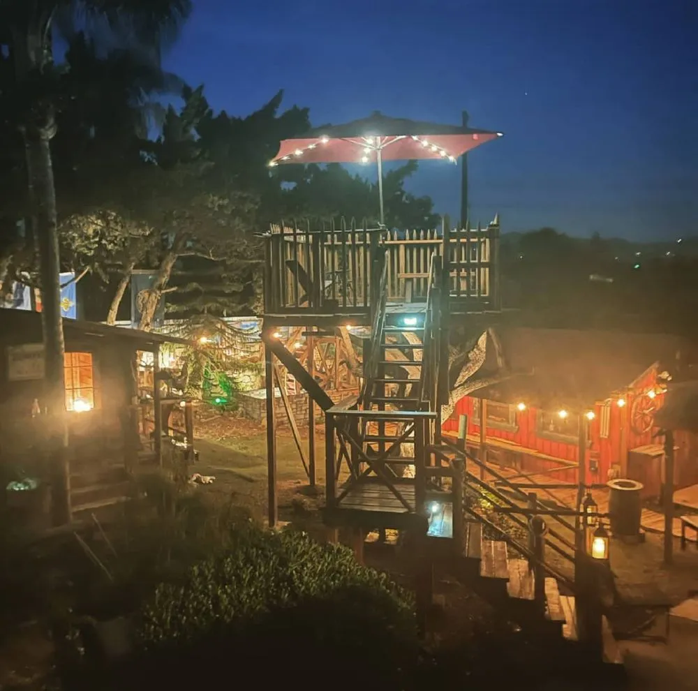 Affordable yard maintenance in La Mesa, CA by Early Bird Handyman & Lawn