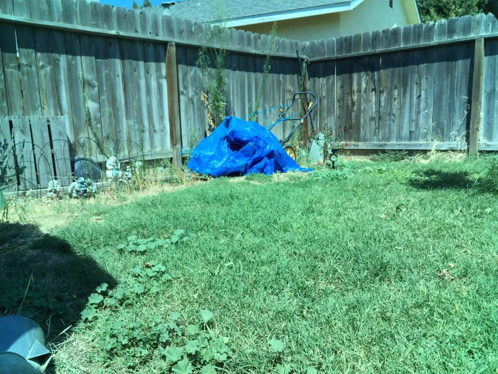 Local lawn care service in Visalia, CA - Early Bird Landscaping