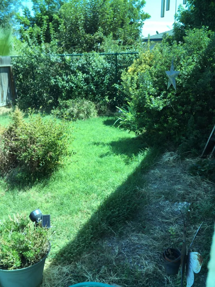 Affordable yard cleanup service experts serving Visalia, CA - Early Bird Landscaping