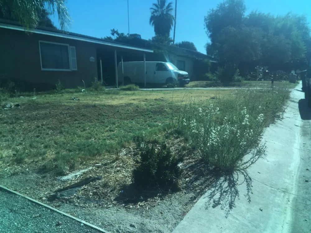 Top-rated landscaping services in Visalia, CA - Early Bird Landscaping