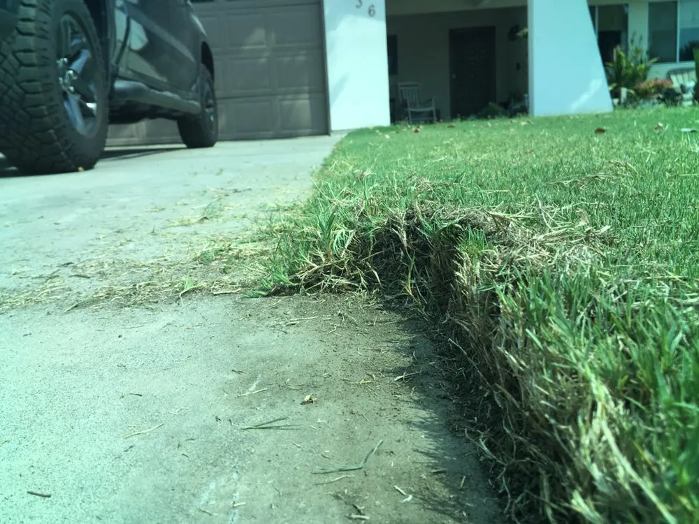 Local garden landscaping in Visalia, CA by Early Bird Landscaping