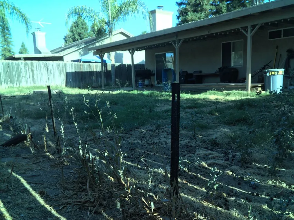 Affordable yard cleanup service experts serving Visalia, CA - Early Bird Landscaping