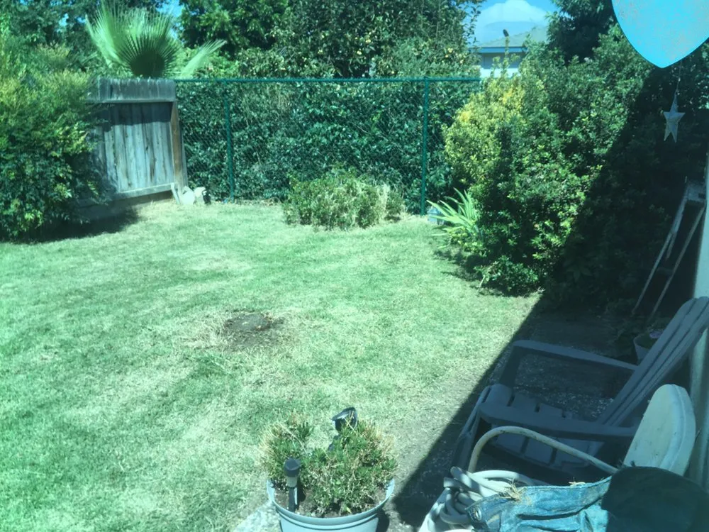 Local landscape design for year-round maintenance across Visalia, CA - Early Bird Landscaping