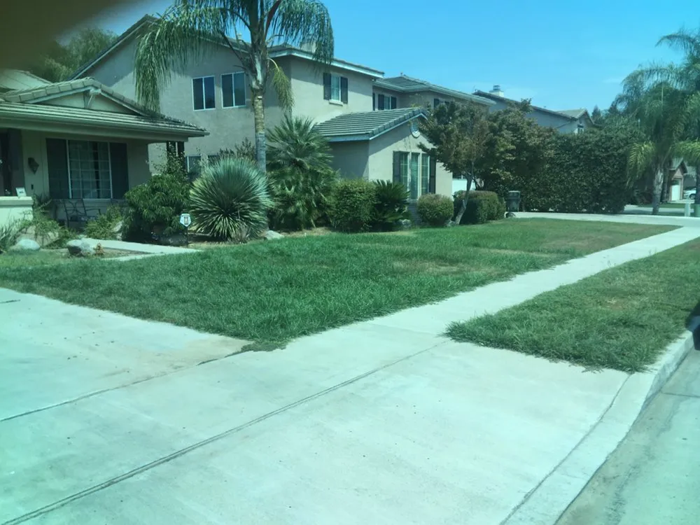 Trusted landscape design experts serving Visalia, CA - Early Bird Landscaping