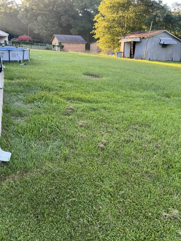 Affordable landscape installation in Bastrop, LA by Early Bird Lawn & Garden Services