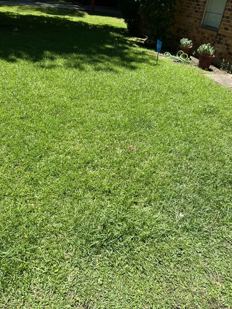 Local yard cleanup service in Bastrop, LA by Early Bird Lawn & Garden Services