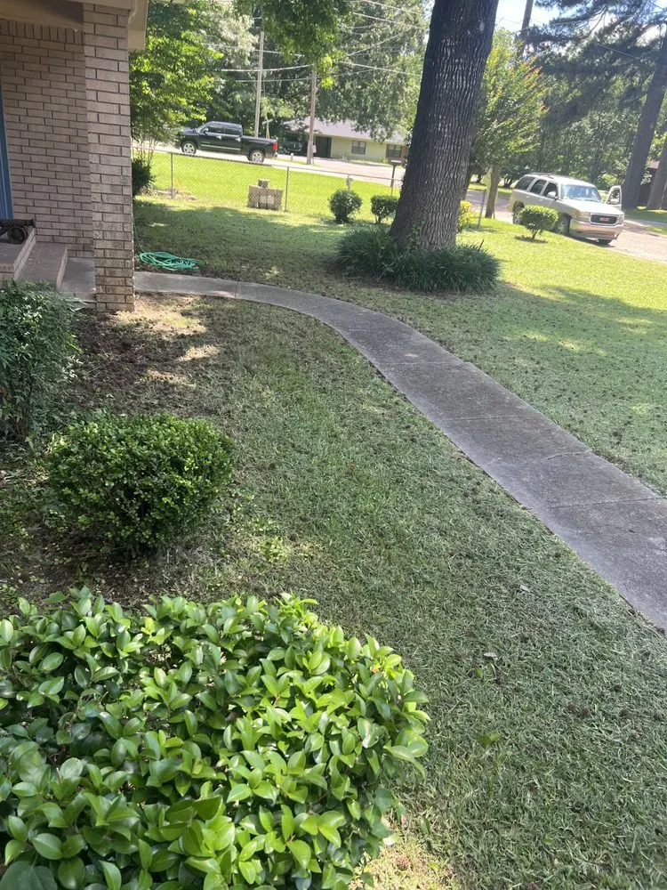 Reliable residential landscaping near you in Bastrop, LA by Early Bird Lawn & Garden Services