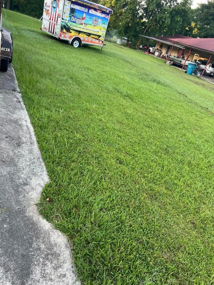 Local yard cleanup service in Bastrop, LA - Early Bird Lawn & Garden Services