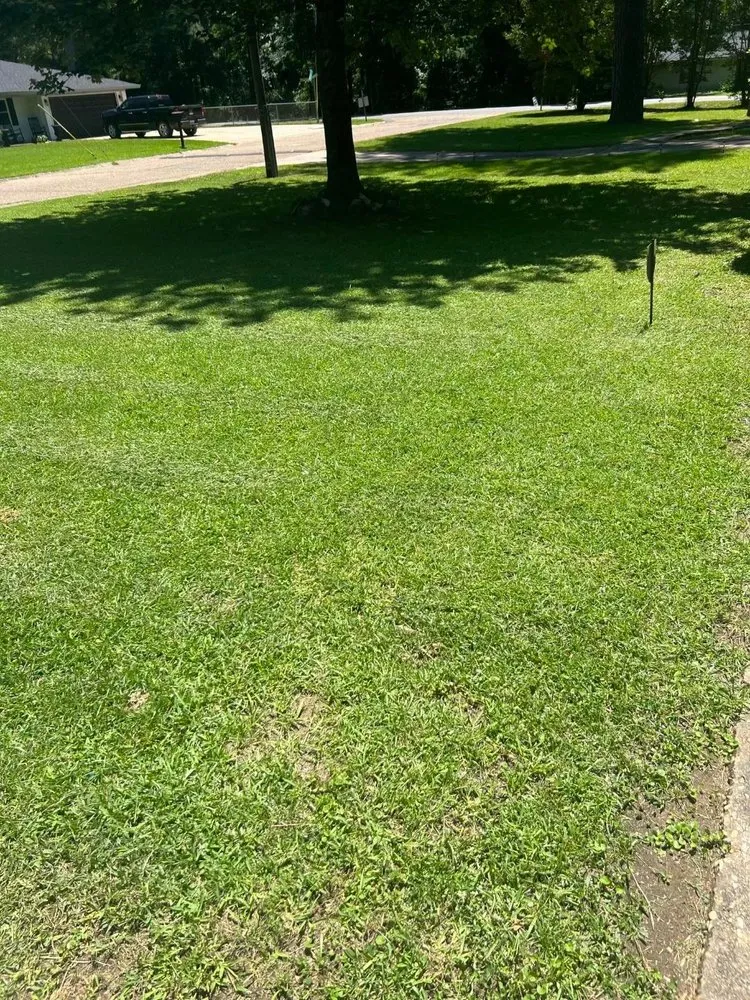 Local lawn mowing service in Bastrop, LA by Early Bird Lawn & Garden Services