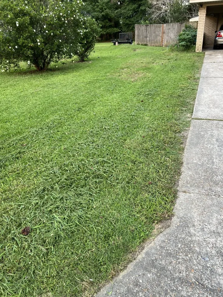 Professional landscape installation for year-round maintenance in Bastrop, LA by Early Bird Lawn & Garden Services