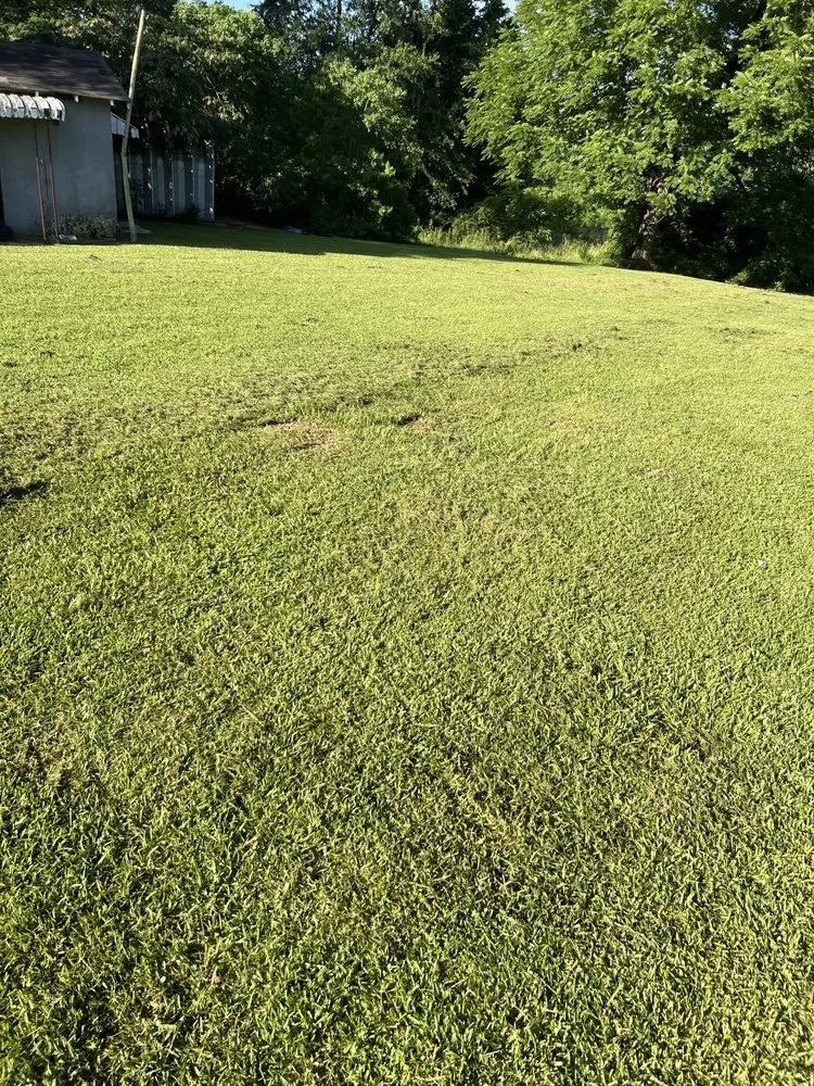 Top-rated lawn care service in Bastrop, LA by Early Bird Lawn & Garden Services