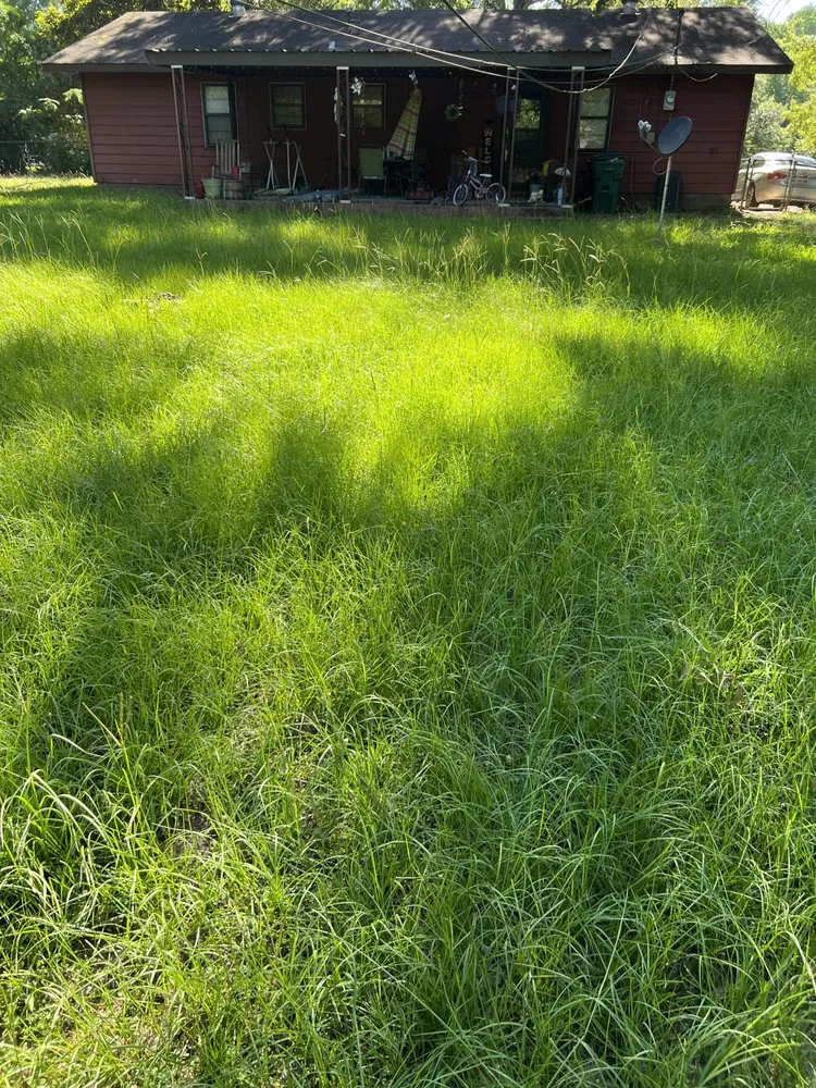 Professional residential landscaping for homes in Bastrop, LA by Early Bird Lawn & Garden Services