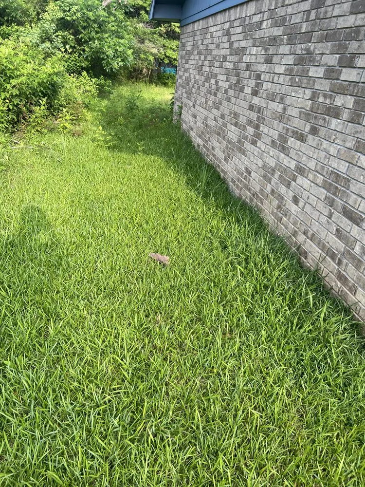 Expert landscaping services experts serving Bastrop, LA - Early Bird Lawn & Garden Services