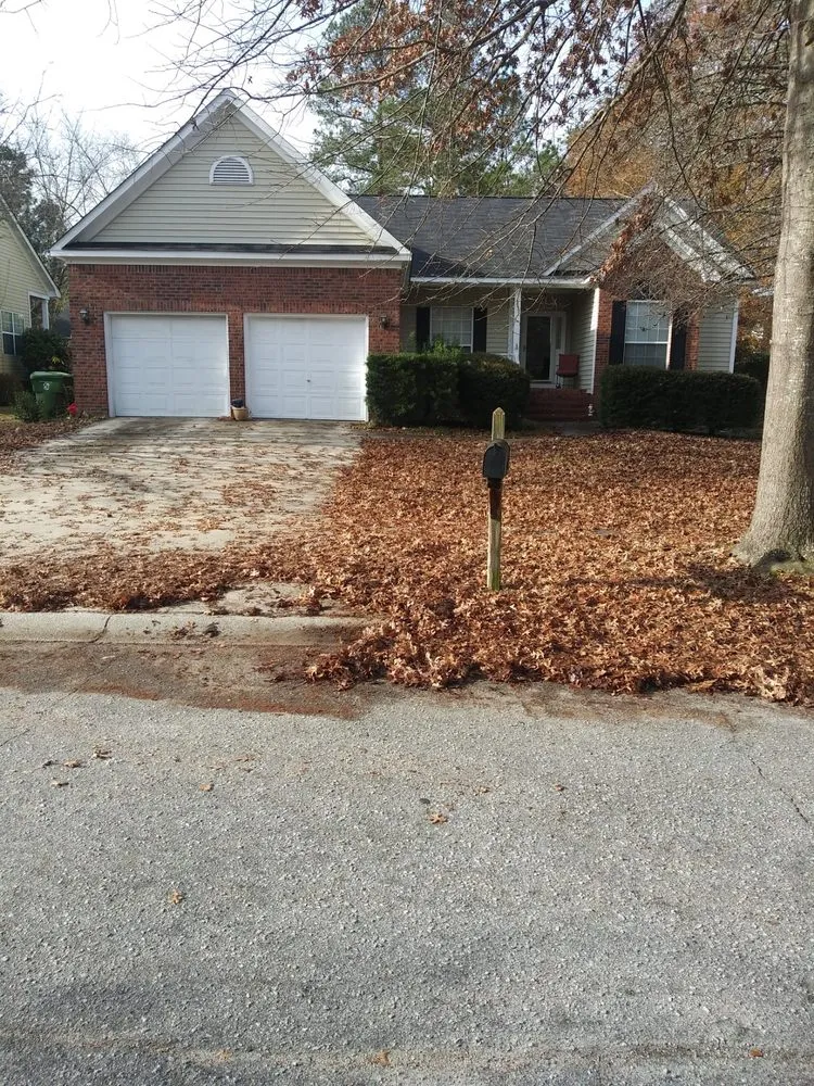 Affordable yard cleanup service experts serving West Columbia, SC - Early Bird Lawn Care and Maintenance Services