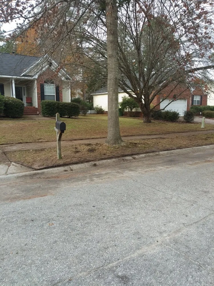 Top-rated yard cleanup service in West Columbia, SC by Early Bird Lawn Care and Maintenance Services