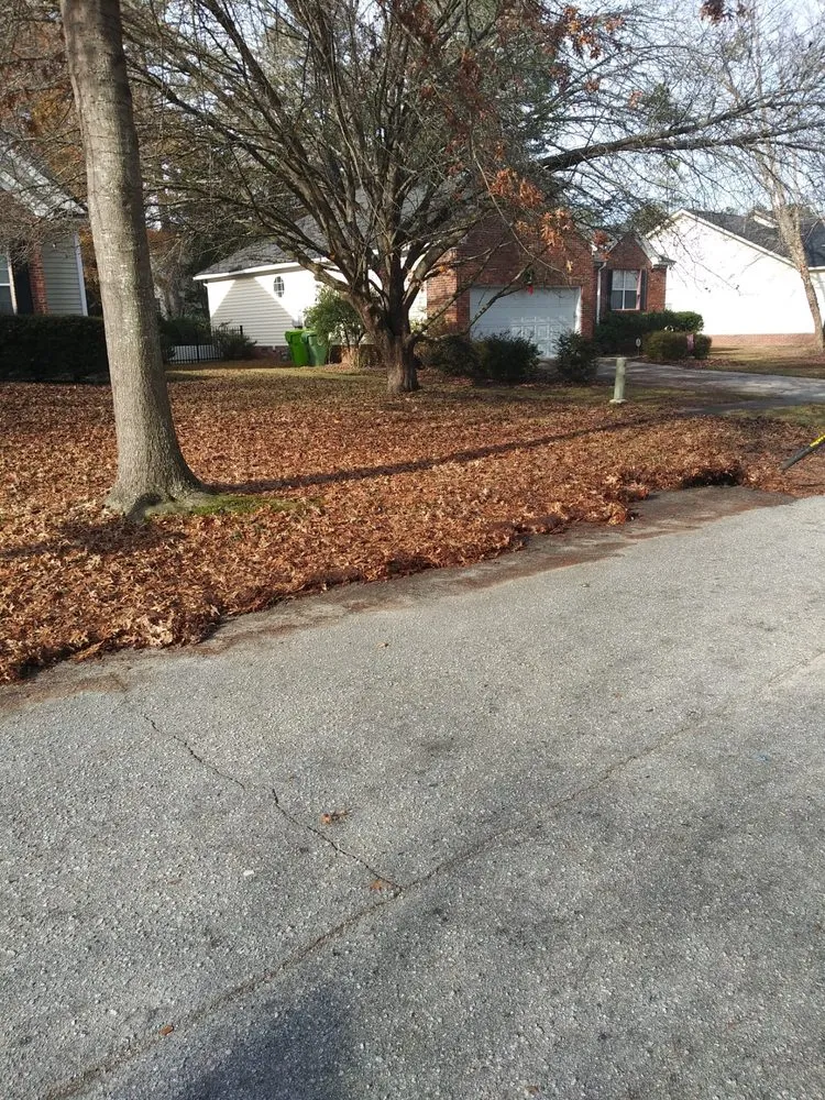 Local yard cleanup service for outdoor upgrades across West Columbia, SC - Early Bird Lawn Care and Maintenance Services