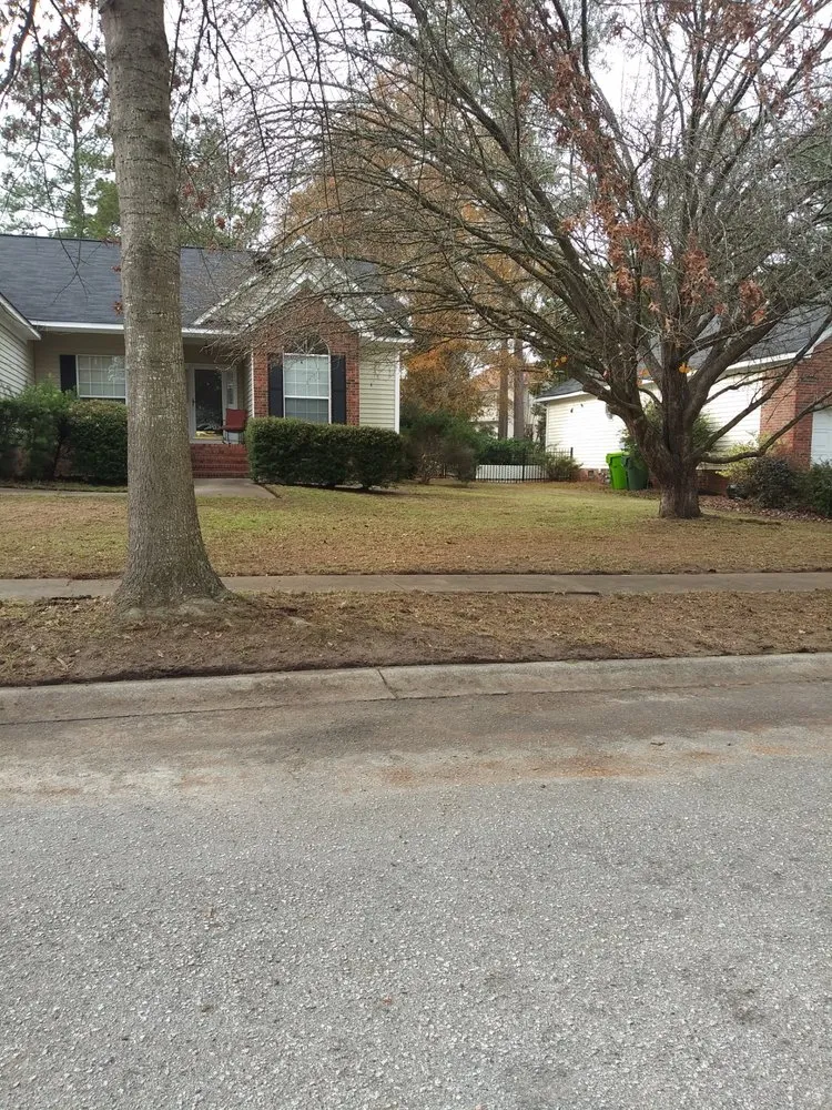 Affordable lawn care service experts serving West Columbia, SC - Early Bird Lawn Care and Maintenance Services