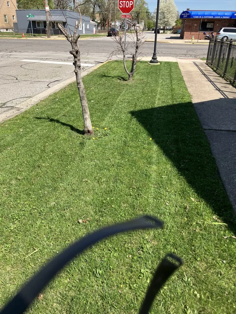 Top-rated outdoor landscaping in Hammond, IN - Early Bird Lawncare and Construction