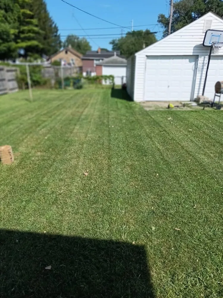 Custom lawn mowing service near you across Hammond, IN - Early Bird Lawncare and Construction