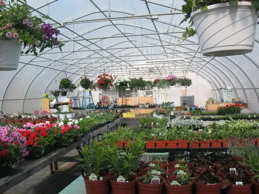 Early Bird Services and Garden Center