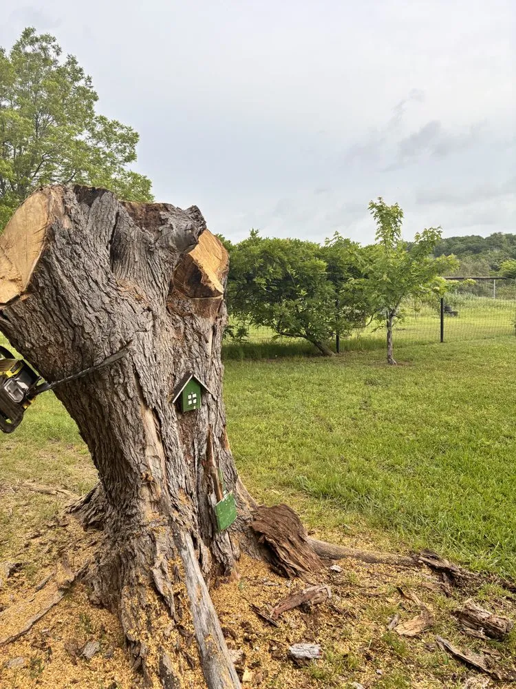 Professional landscape design in Acton, TX - Early Delights Landscaping