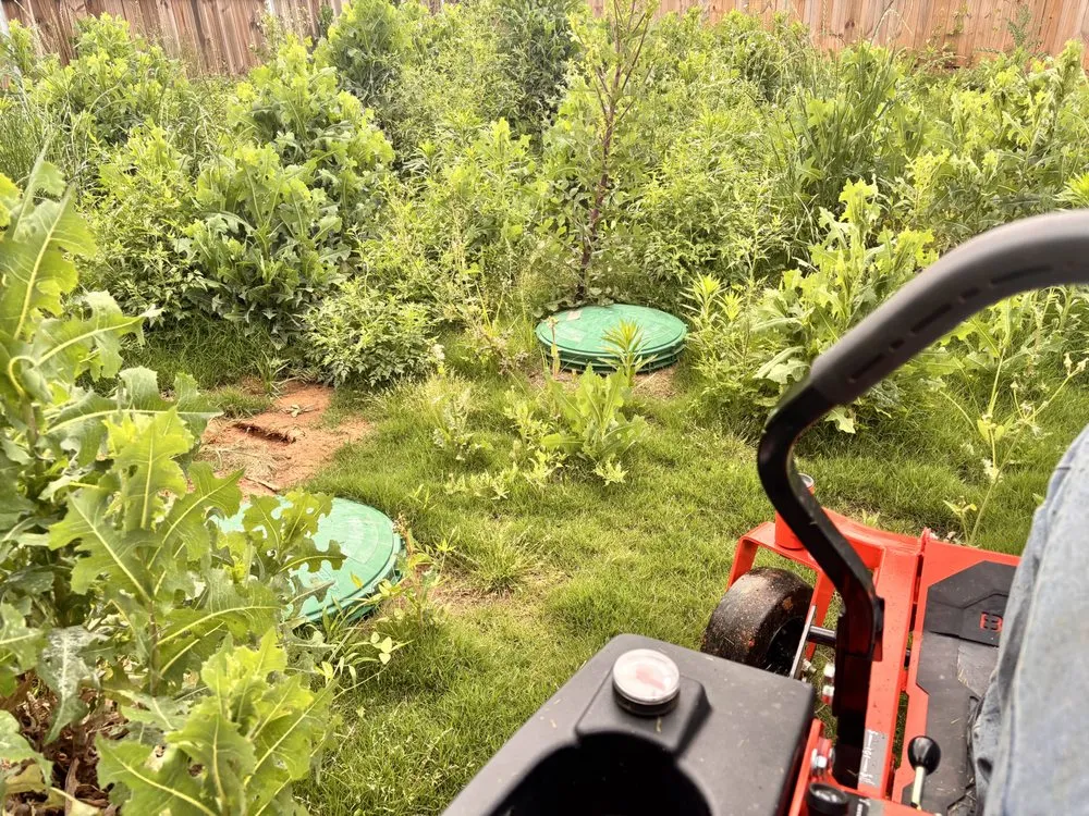 Reliable landscape installation for outdoor upgrades in Acton, TX by Early Delights Landscaping