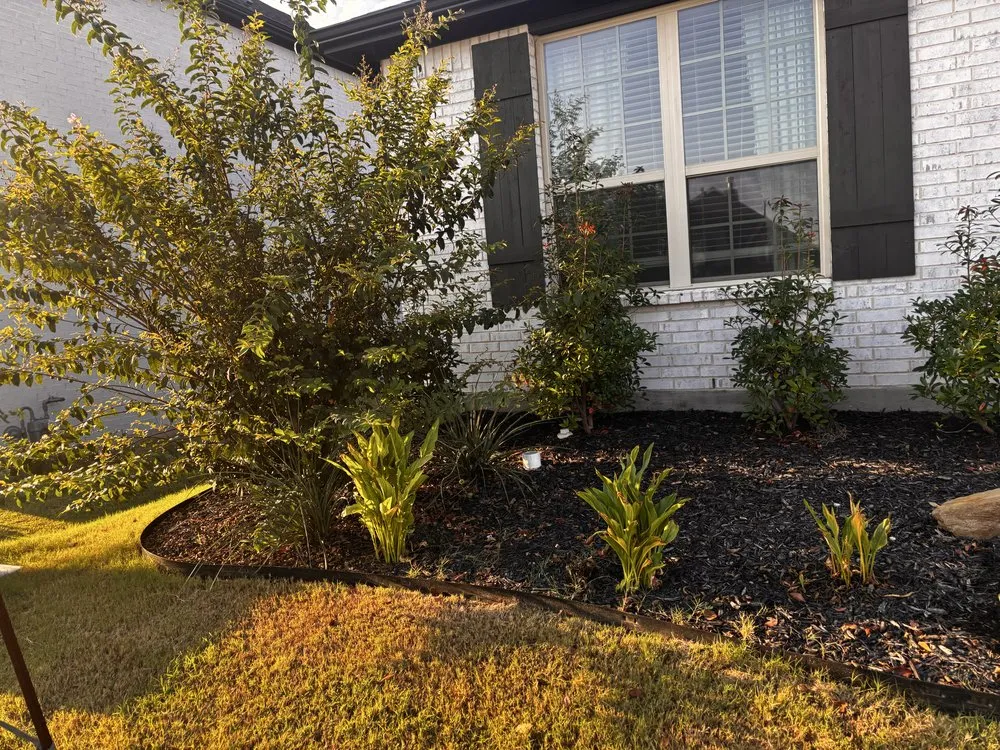 Expert landscape installation in Acton, TX - Early Delights Landscaping