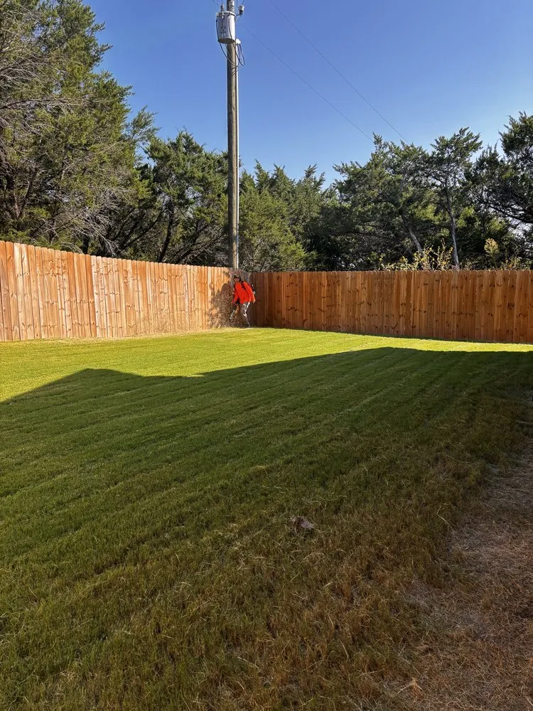 Expert yard cleanup service experts serving Acton, TX - Early Delights Landscaping