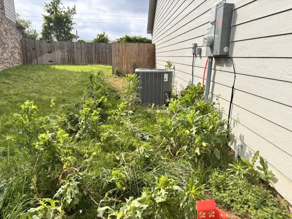 Reliable lawn mowing service experts serving Acton, TX - Early Delights Landscaping