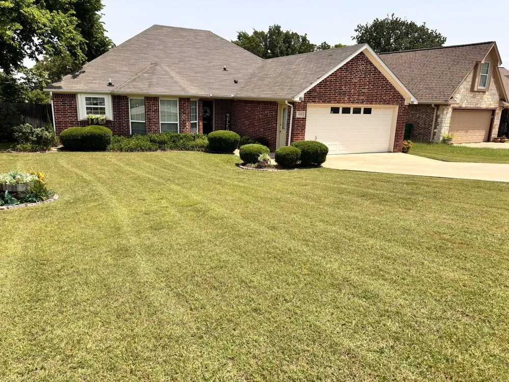 Local landscaping services for beautiful yards across Acton, TX - Early Delights Landscaping
