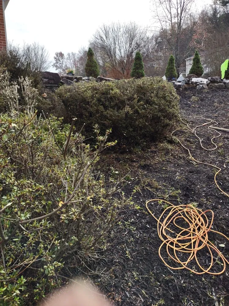 Custom garden landscaping in Cave Spring, VA - Early Landscaping and Helping Hands