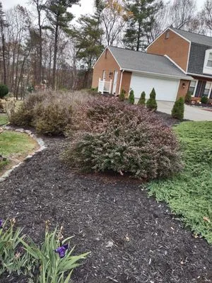 Early Landscaping and Helping Hands