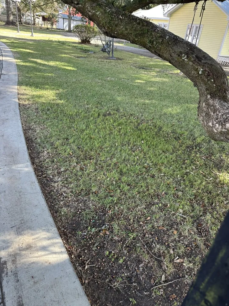 Expert landscaping services in Foley, AL by Early Landscaping