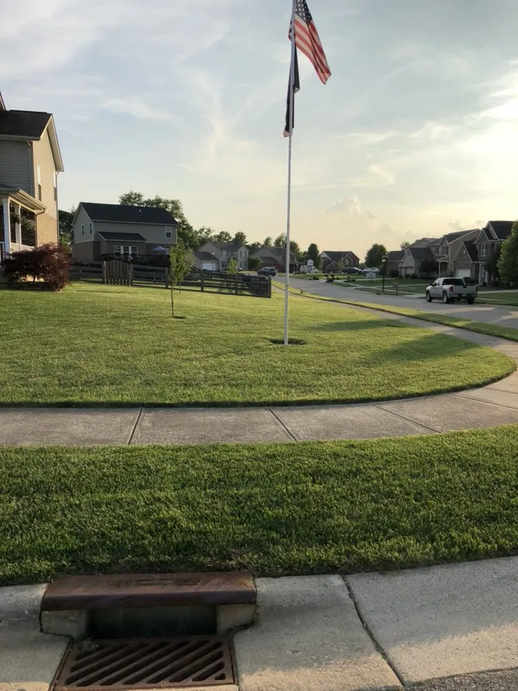Expert yard cleanup service in Cincinnati, OH by Early Worm Lawn Care Services