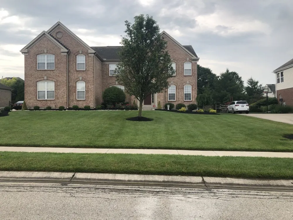 Trusted yard cleanup service in Cincinnati, OH - Early Worm Lawn Care Services