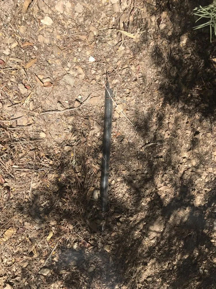 Local lawn care service in Las Vegas, NV - Earlybird Landscaping