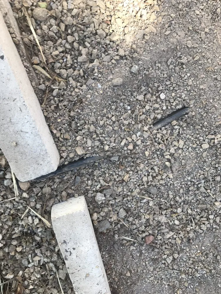 Expert yard maintenance experts serving Las Vegas, NV - Earlybird Landscaping