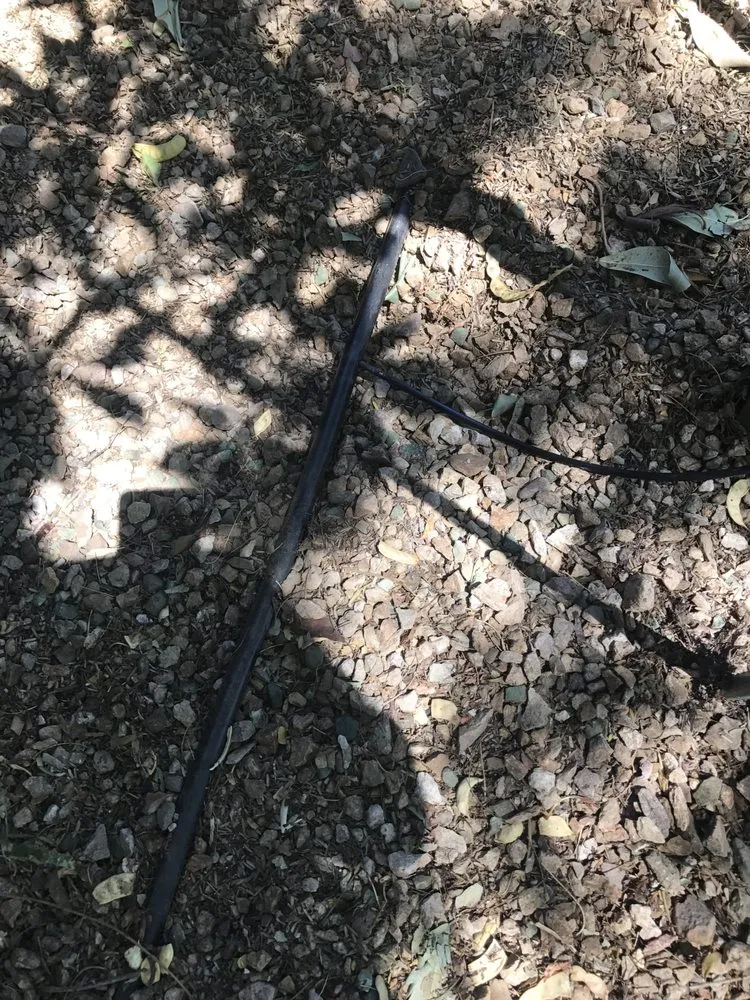 Expert outdoor landscaping experts serving Las Vegas, NV - Earlybird Landscaping