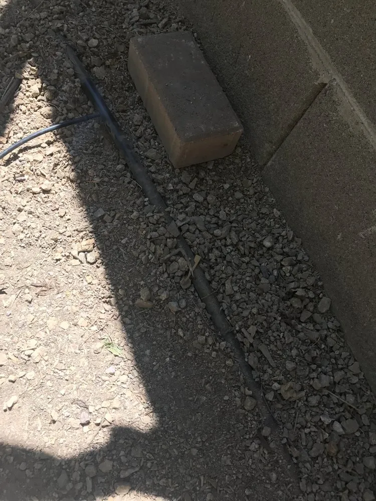 Affordable landscaping services experts serving Las Vegas, NV - Earlybird Landscaping