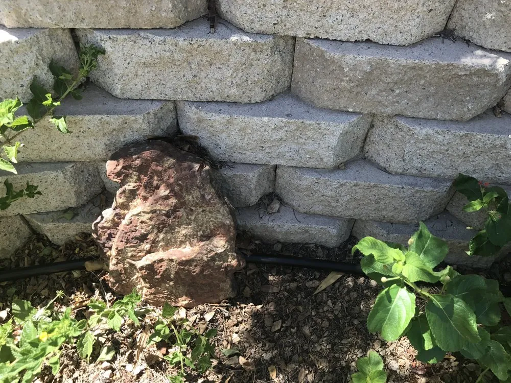 Reliable lawn care service in Las Vegas, NV - Earlybird Landscaping