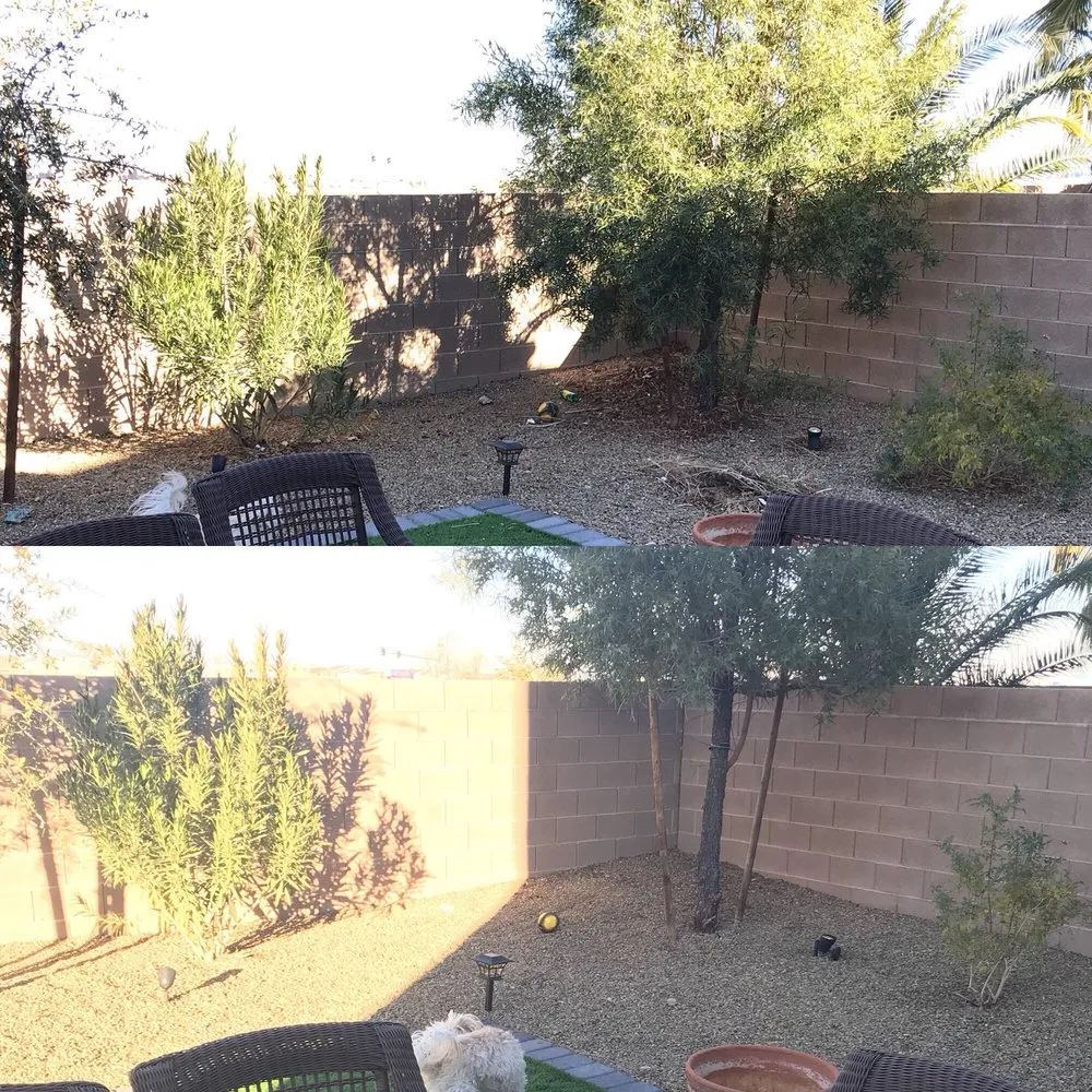 Reliable landscape installation in Las Vegas, NV by Earlybird Landscaping