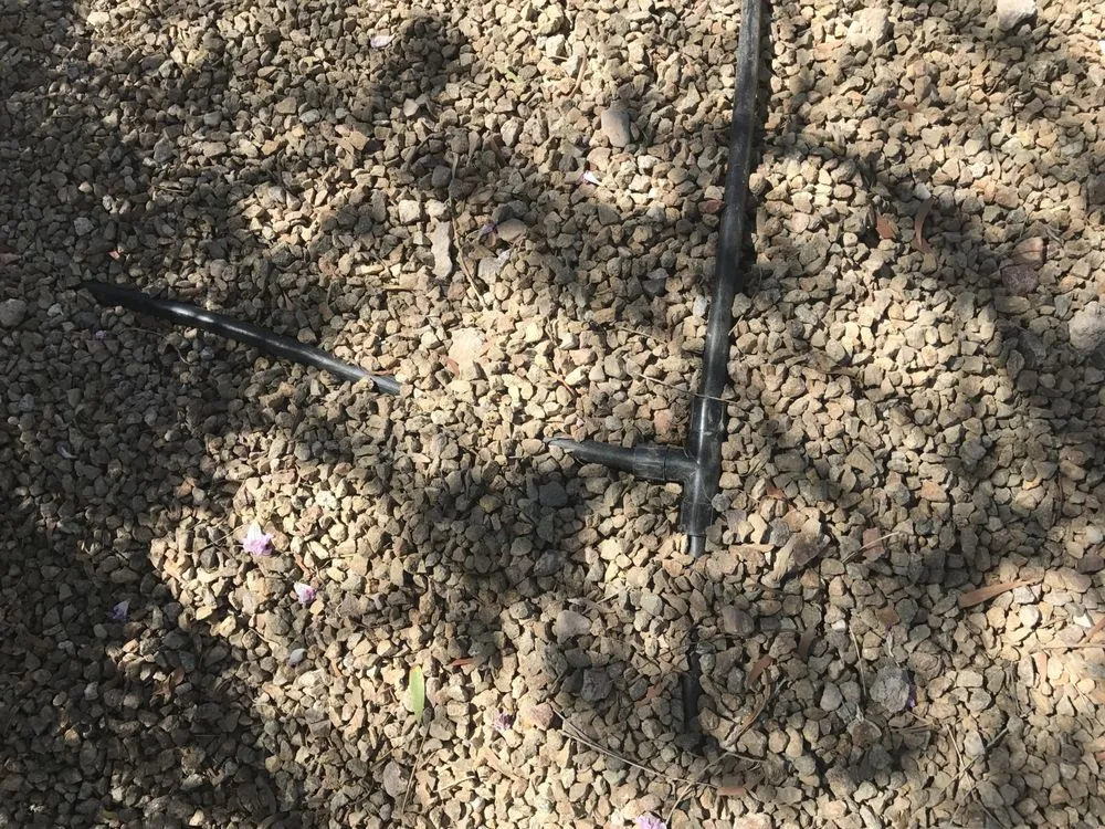 Affordable lawn mowing service with custom design in Las Vegas, NV by Earlybird Landscaping