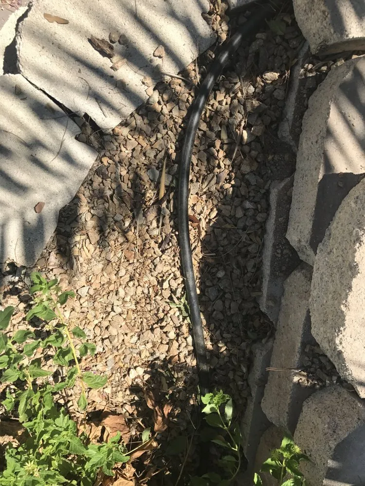 Local yard cleanup service for residential properties across Las Vegas, NV - Earlybird Landscaping