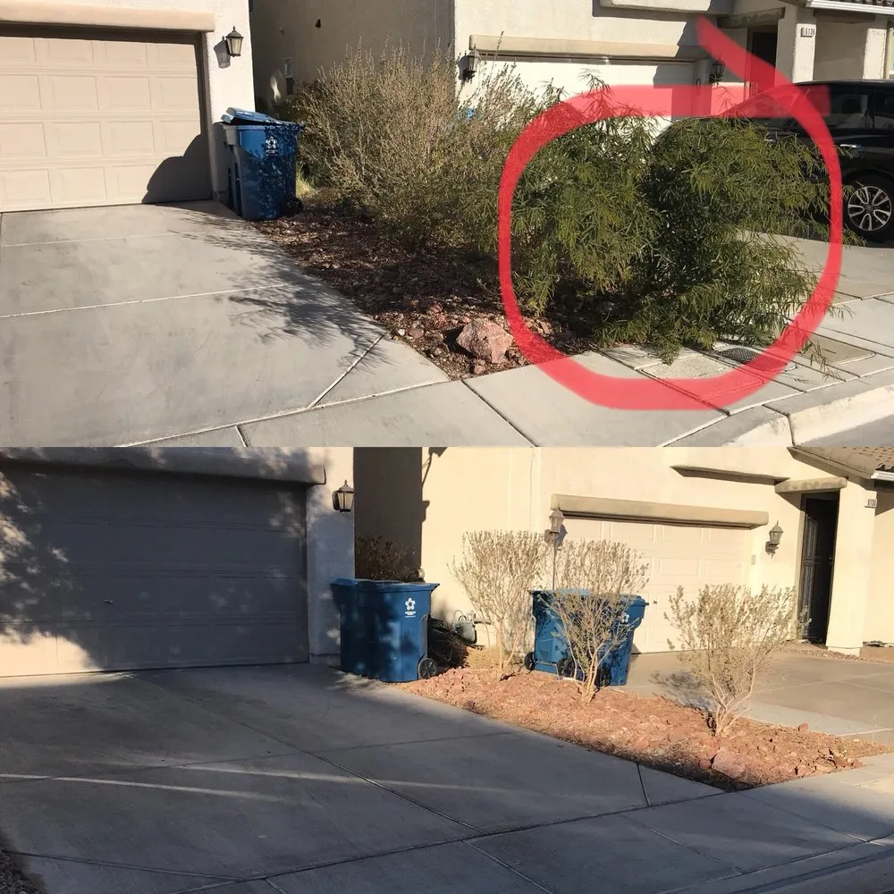 Professional yard maintenance in Las Vegas, NV - Earlybird Landscaping