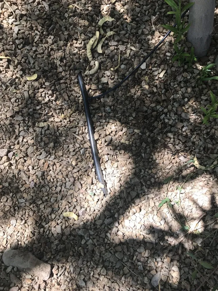 Trusted yard maintenance experts serving Las Vegas, NV - Earlybird Landscaping