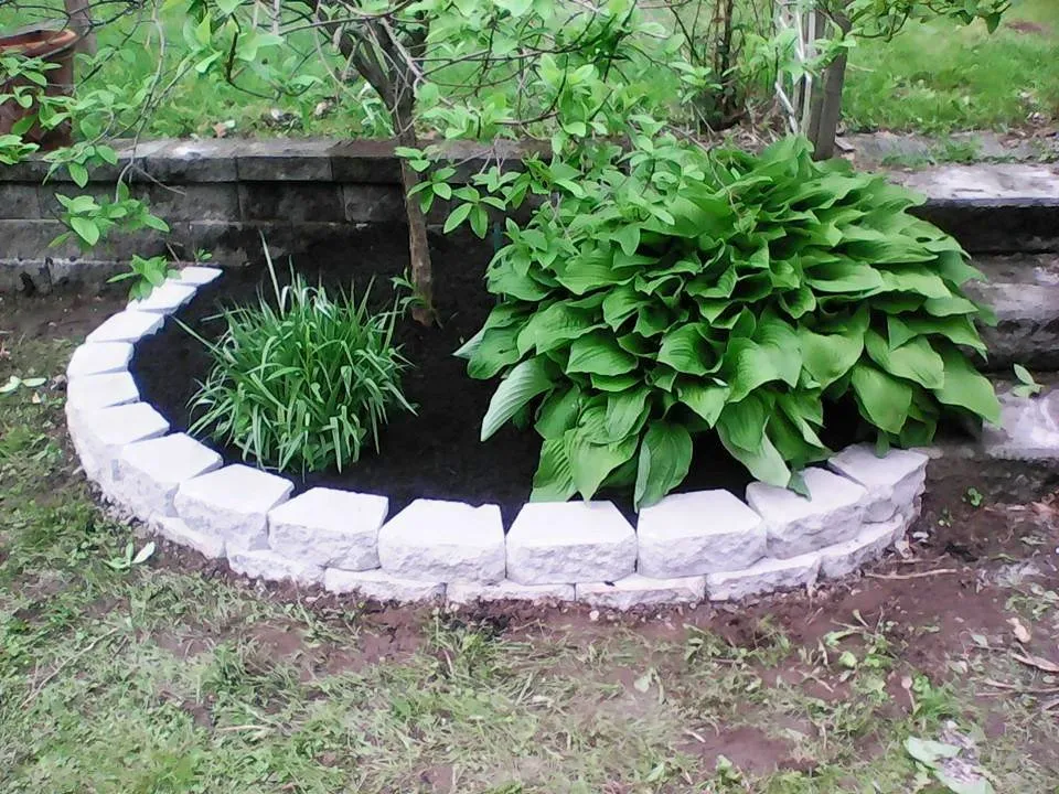 Affordable lawn mowing service experts serving Syracuse, NY - EarlyBird Lawn Care