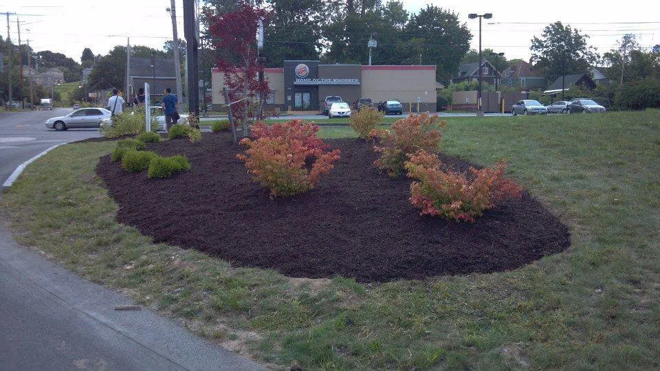 Professional landscape installation in Syracuse, NY - EarlyBird Lawn Care