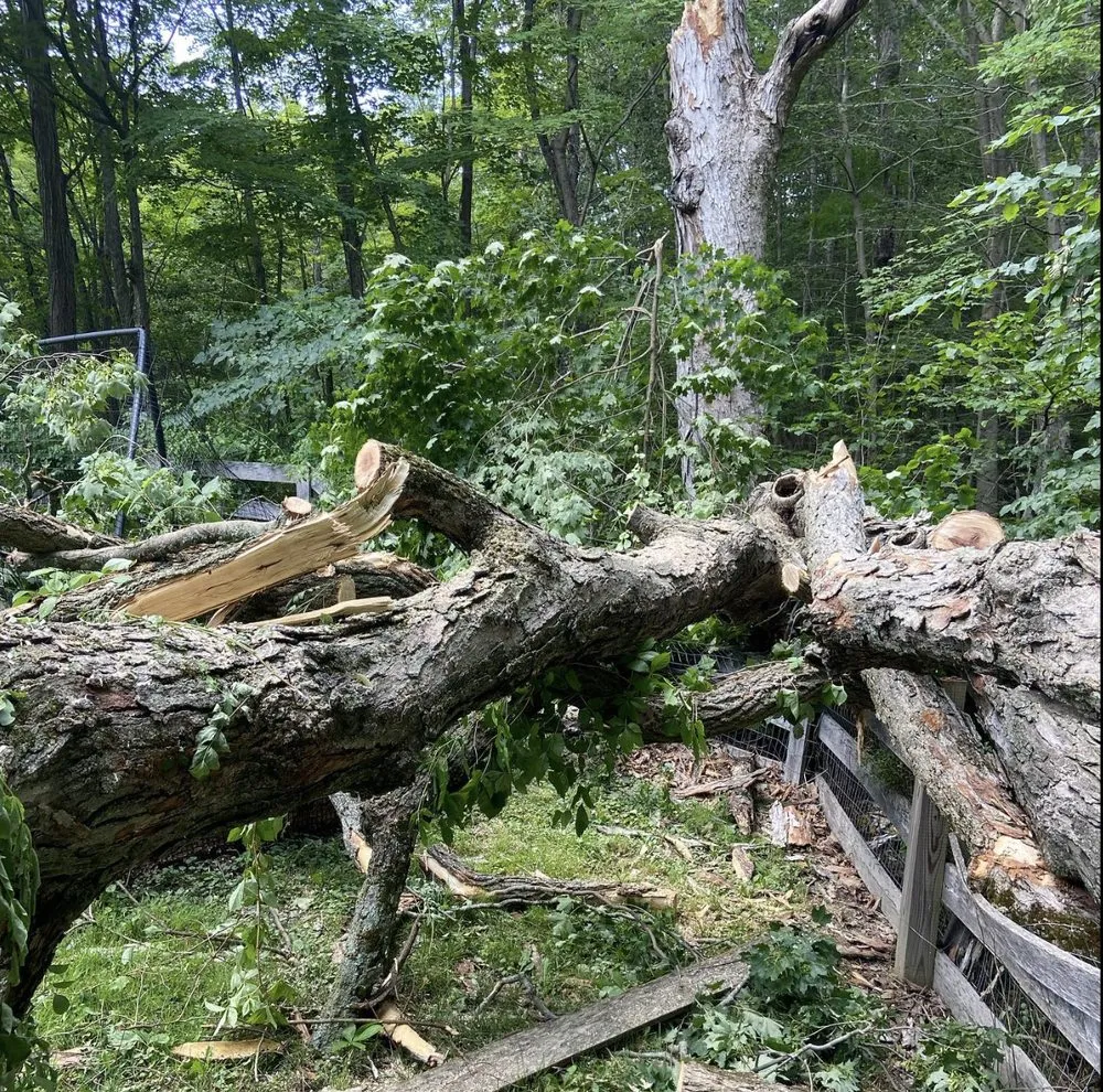 Affordable landscape design experts serving Norwalk, CT - EarlyGreen Care Landscaping