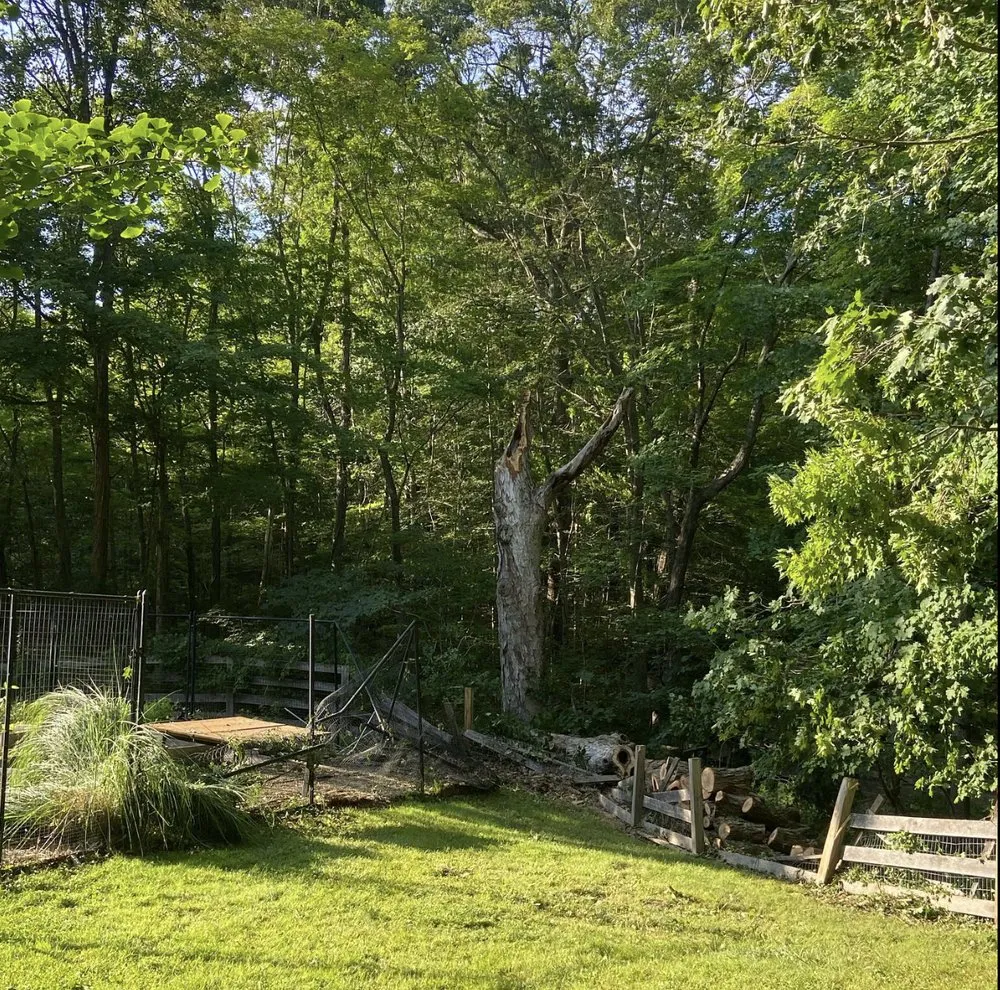 Affordable landscape installation near you across Norwalk, CT - EarlyGreen Care Landscaping